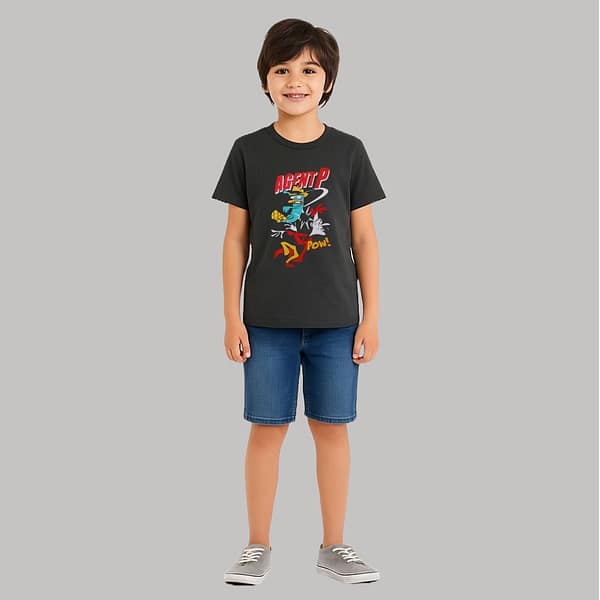 ash-simple-agent-tee-pair